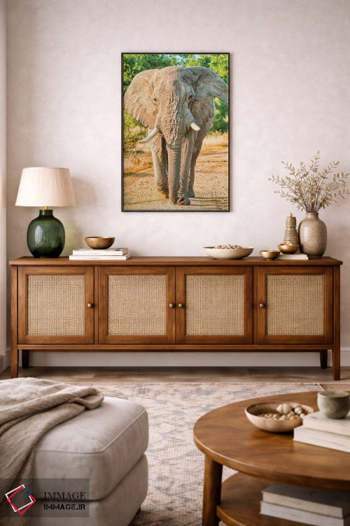 تابلو دکوراتیو فیل آفریقایی؛ پادشاه واقعی اثر رندا تامپسون - D3B