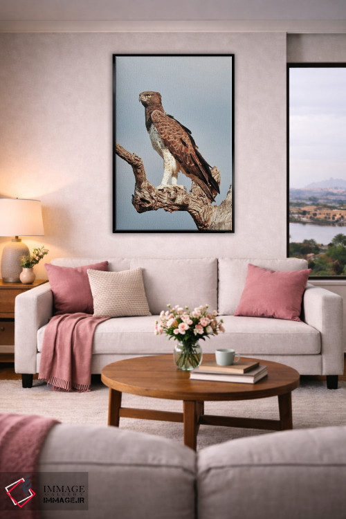 تابلو دکوراتیو عقاب جنگی آفریقایی اثر رندا تامپسون - D5B