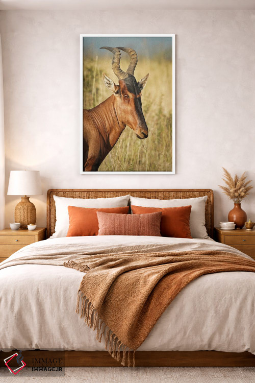 تابلو دکوراتیو آنتلوپ ایلان آفریقایی اثر رندا تامپسون - D3W