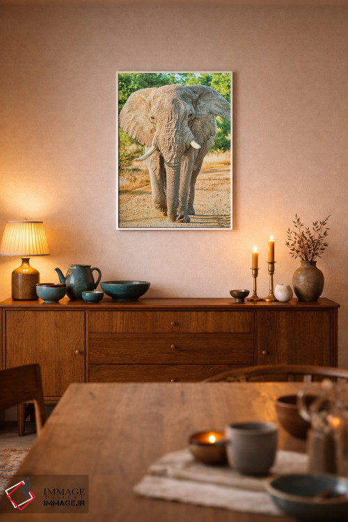 تابلو دکوراتیو فیل آفریقایی؛ پادشاه واقعی اثر رندا تامپسون - D5W
