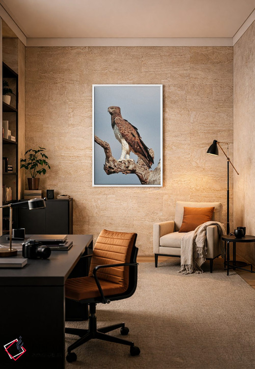 تابلو دکوراتیو عقاب جنگی آفریقایی اثر رندا تامپسون - D6W