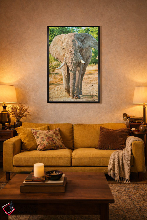 تابلو دکوراتیو فیل آفریقایی؛ پادشاه واقعی اثر رندا تامپسون - D4B