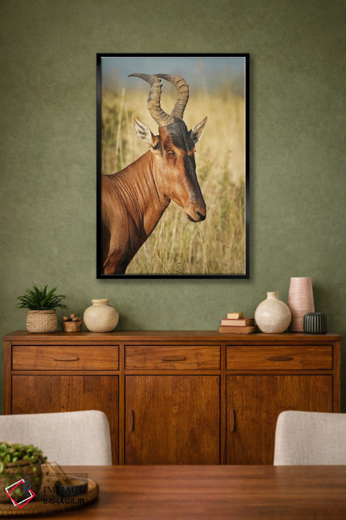 تابلو دکوراتیو آنتلوپ ایلان آفریقایی اثر رندا تامپسون - D2B