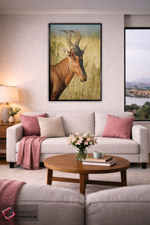 تابلو دکوراتیو آنتلوپ ایلان آفریقایی اثر رندا تامپسون - D5B