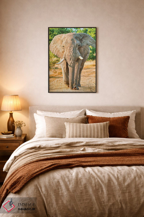 تابلو دکوراتیو فیل آفریقایی؛ پادشاه واقعی اثر رندا تامپسون - D6B