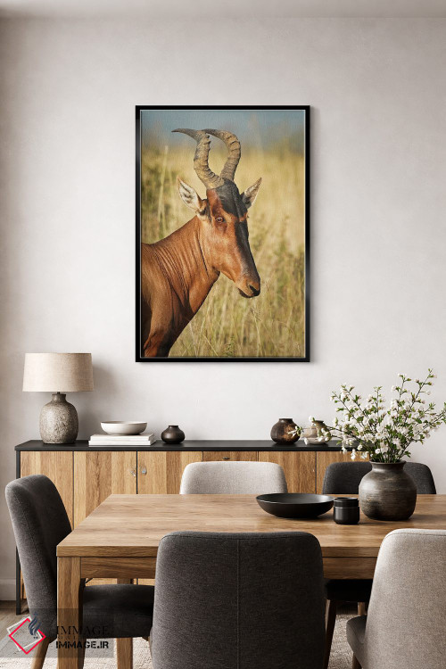 تابلو دکوراتیو آنتلوپ ایلان آفریقایی اثر رندا تامپسون - D4B