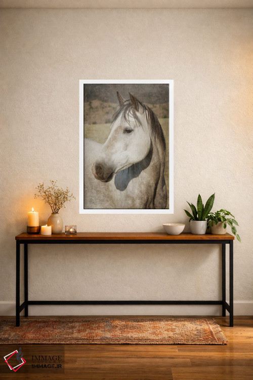 تابلو دکوراتیو چشم مراقب اثر رندا تامپسون - D4W