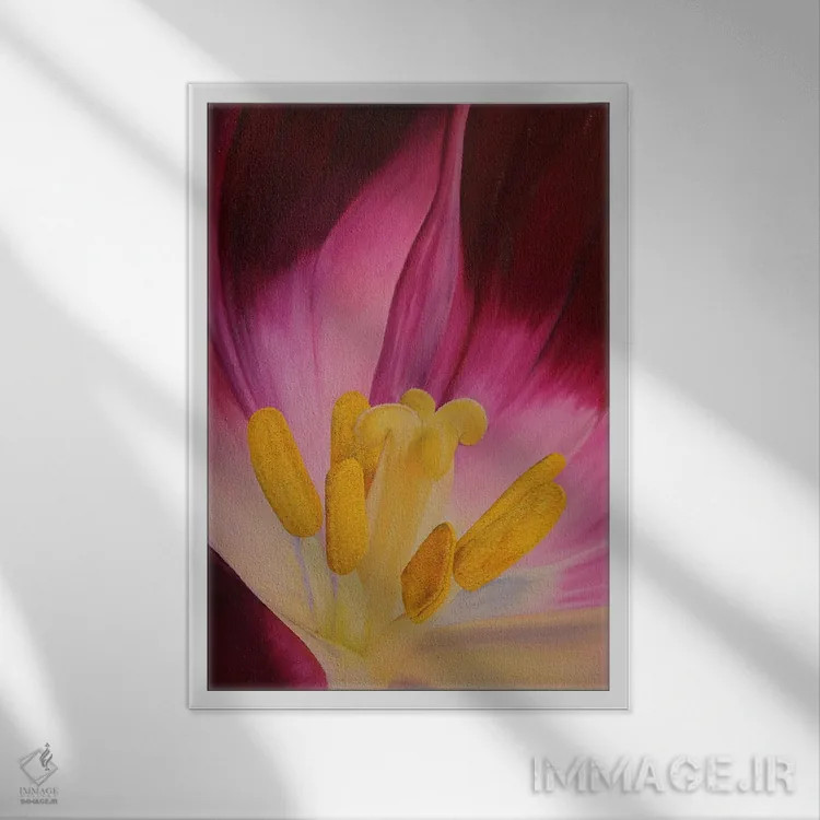 تابلو دکوراتیو قلب گل لاله اثر راسل هینکلی - نمای قابدار سفید