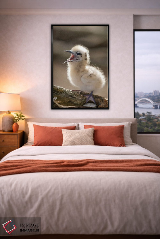 تابلو دکوراتیو North America, Northwestern Hawaiian Islands, Midway Atoll.… اثر ربکا جک رل - D3B