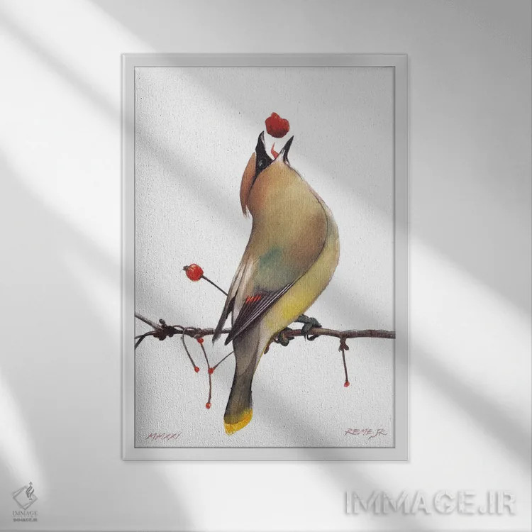 تابلو دکوراتیو پرنده شماره ۱۶۴ اثر رم جونیور - نمای قابدار سفید