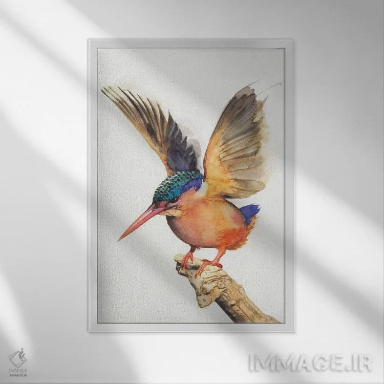 تابلو دکوراتیو پرنده ماهی خوار شماره یک اثر رم جونیور - نمای قابدار سفید