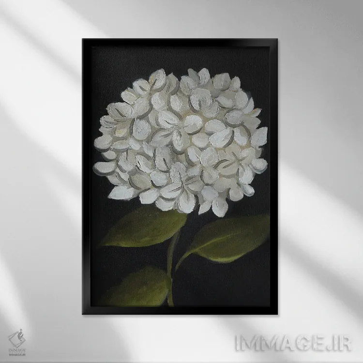 تابلو دکوراتیو گل ادریسی سفید اثر رومانا خومین - نمای قابدار مشکی