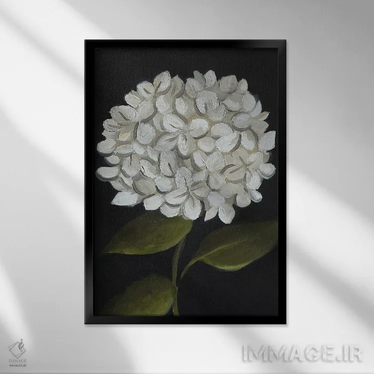 تابلو دکوراتیو گل ادریسی سفید اثر رومانا خومین - نمای قابدار مشکی