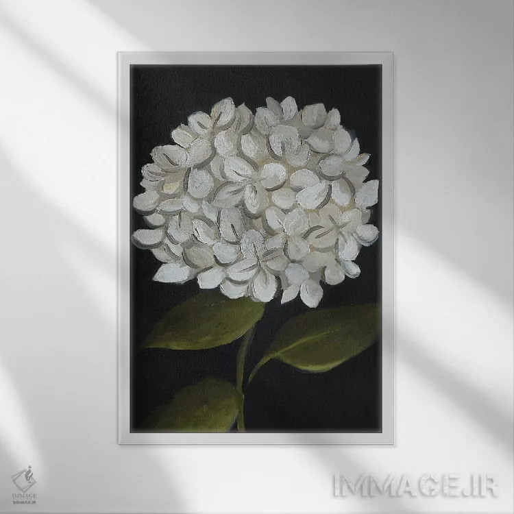 تابلو دکوراتیو گل ادریسی سفید اثر رومانا خومین - نمای قابدار سفید