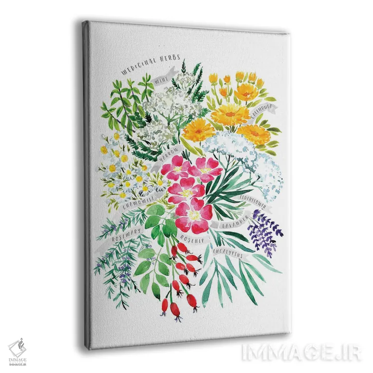 تابلو دکوراتیو دسته گیاه دارویی به سبک آبرنگ اثر بلرز بای ای آی - نمای پرسپکتیو محصول