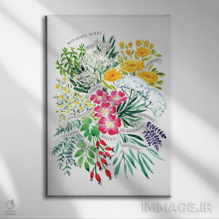 تابلو دکوراتیو دسته گیاه دارویی به سبک آبرنگ اثر بلرز بای ای آی - نمای روبهرو روی دیوار