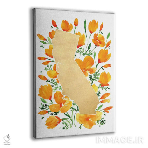 تابلو دکوراتیو نقشه کالیفرنیا با گل شقایق کالیفرنیا به سبک آبرنگ اثر بلرز بای ای آی - نمای پرسپکتیو محصول