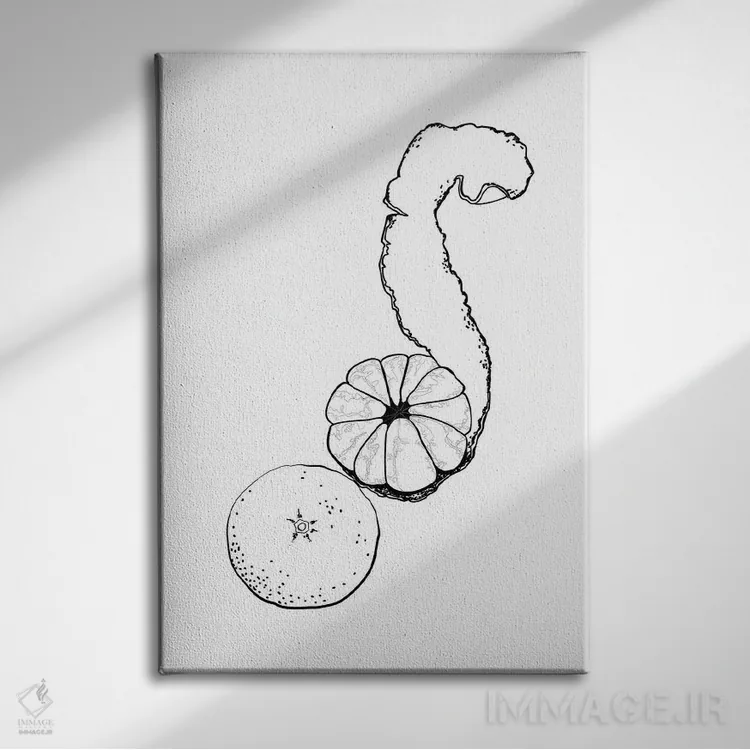 تابلو مینیمال طراحی خطی نارنگی اثر بلرز بای ای آی - نمای روبهرو روی دیوار