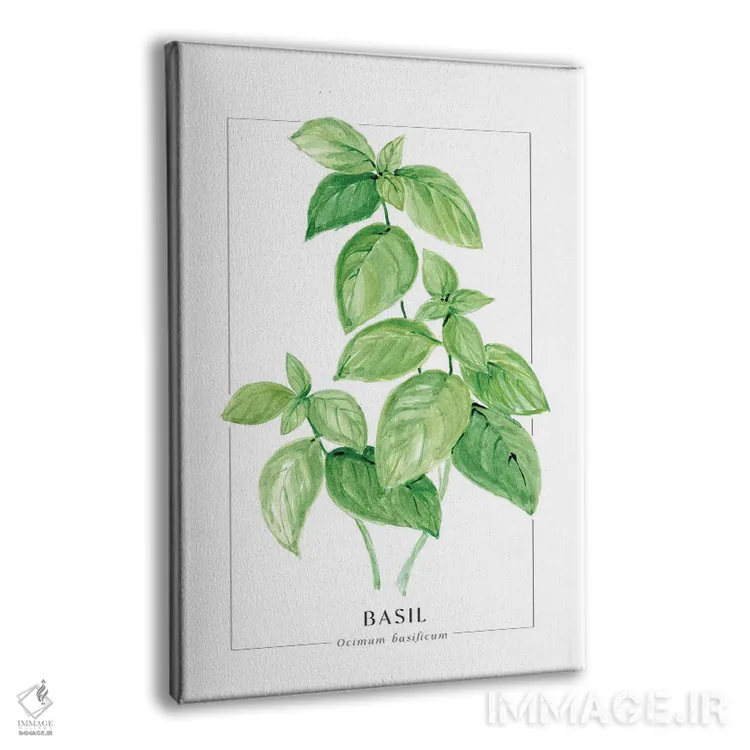 تابلو دکوراتیو تصویرسازی آبرنگی ریحان اثر بلرز بای ای آی - نمای پرسپکتیو محصول