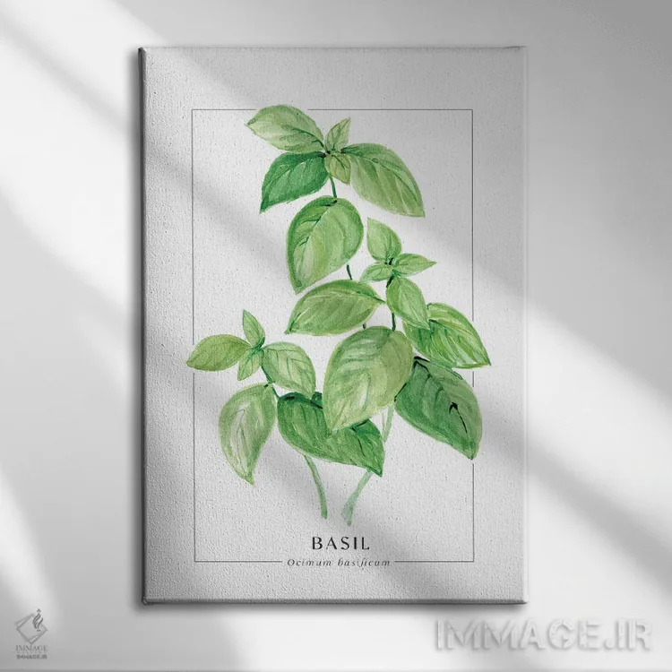 تابلو دکوراتیو تصویرسازی آبرنگی ریحان اثر بلرز بای ای آی - نمای روبهرو روی دیوار