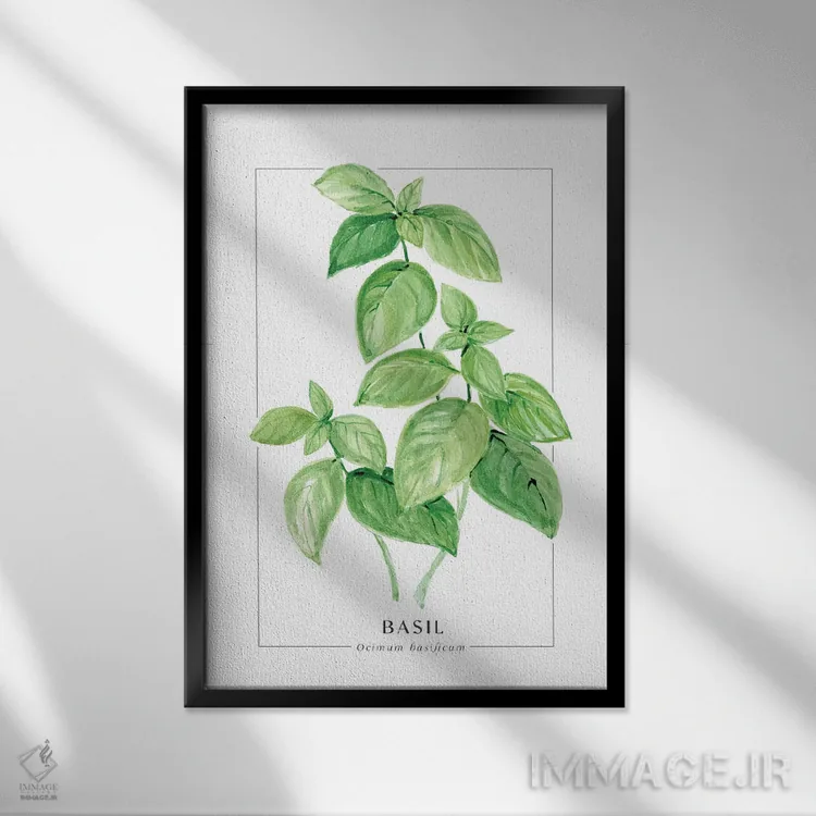تابلو دکوراتیو تصویرسازی آبرنگی ریحان اثر بلرز بای ای آی - نمای قابدار مشکی