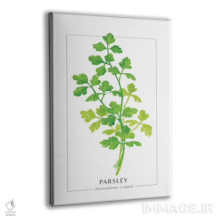 تابلو دکوراتیو تصویرسازی آبرنگی جعفری اثر بلرز بای ای آی - نمای پرسپکتیو محصول
