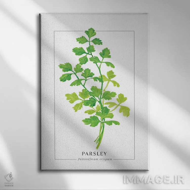 تابلو دکوراتیو تصویرسازی آبرنگی جعفری اثر بلرز بای ای آی - نمای روبهرو روی دیوار