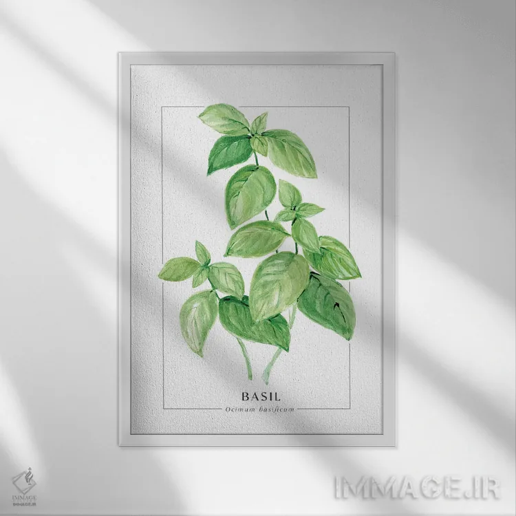 تابلو دکوراتیو تصویرسازی آبرنگی ریحان اثر بلرز بای ای آی - نمای قابدار سفید