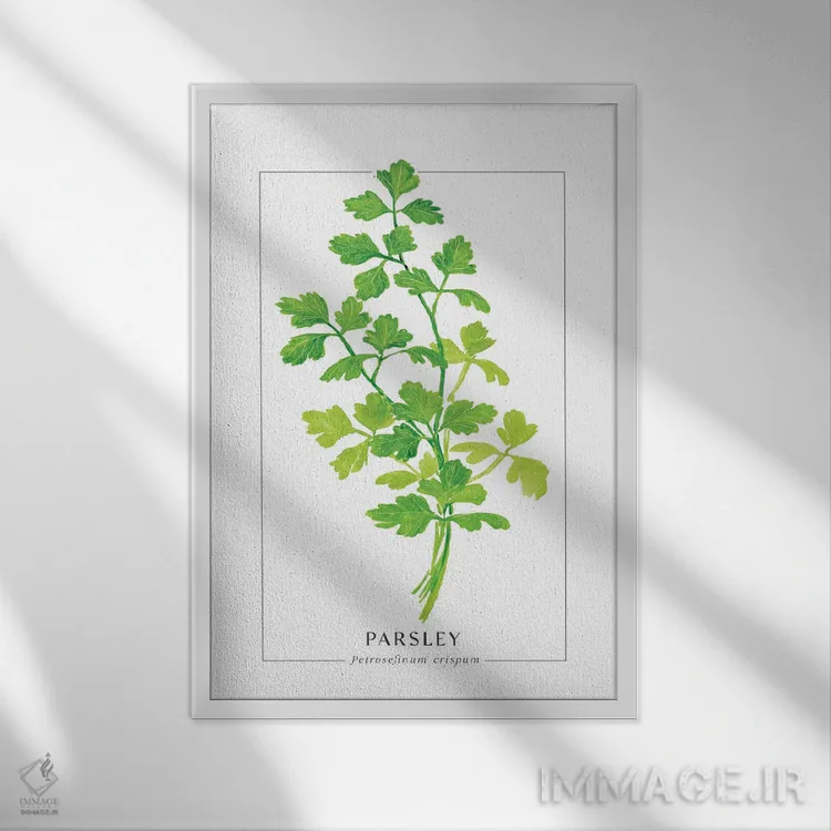 تابلو دکوراتیو تصویرسازی آبرنگی جعفری اثر بلرز بای ای آی - نمای قابدار سفید
