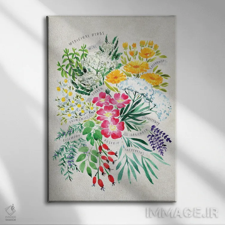 تابلو دکوراتیو دسته گیاهان دارویی آبرنگی قدیمی اثر بلرز بای ای آی - نمای روبهرو روی دیوار