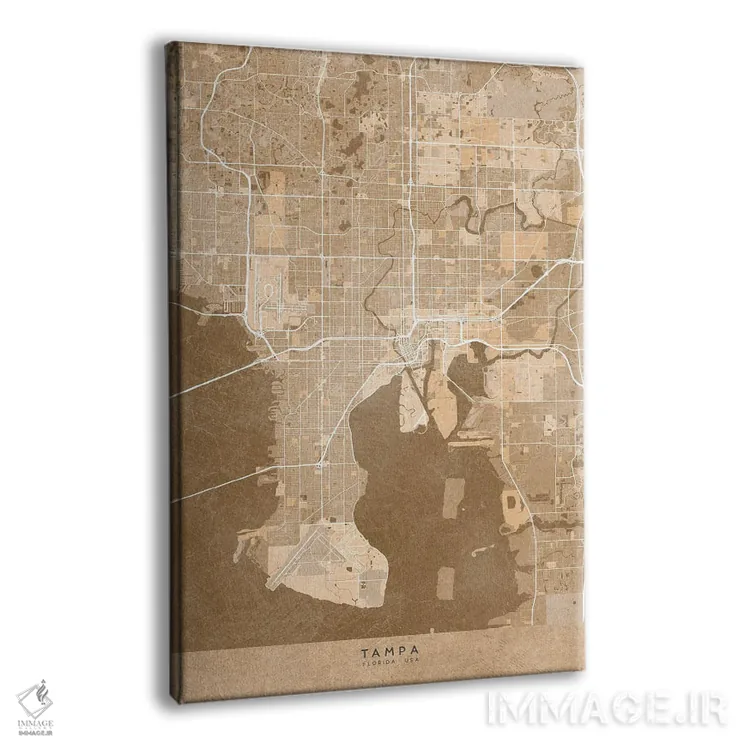 تابلو دکوراتیو USA) In Sepia Vintage Style,نقشه تمپا به سبک سپیا وینتیج اثر بلرز بای ای آی - نمای پرسپکتیو محصول