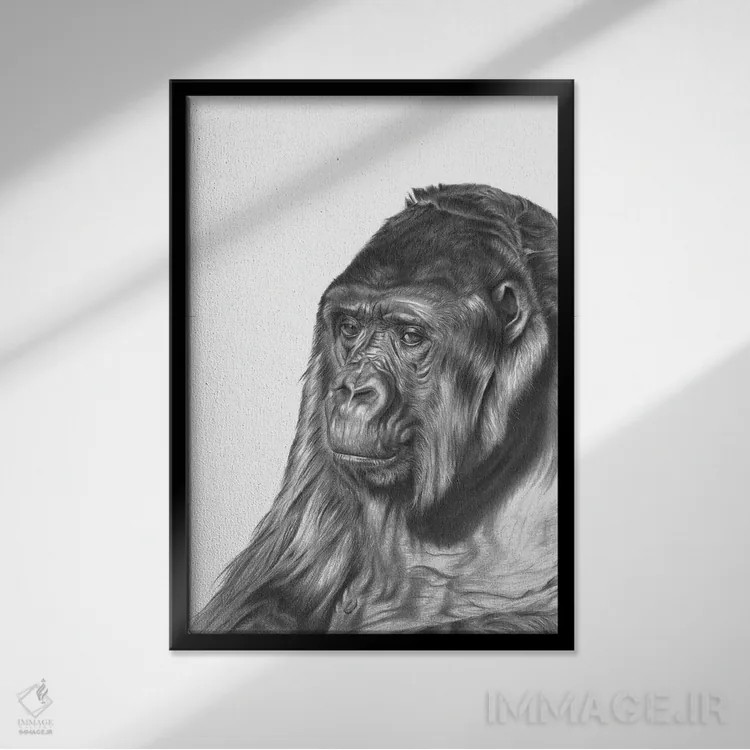 تابلو دکوراتیو گوریل اثر ریچارد مک وی - نمای قابدار مشکی
