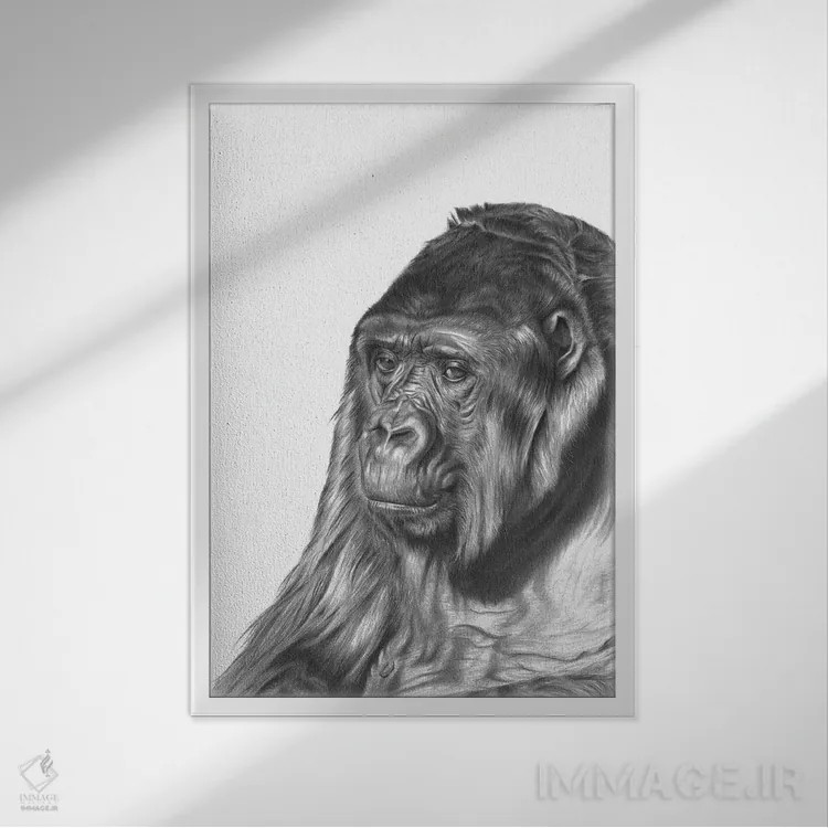 تابلو دکوراتیو گوریل اثر ریچارد مک وی - نمای قابدار سفید
