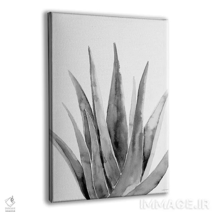 تابلو مینیمال گیاه ارگانیک II اثر ریچل نیمان - نمای پرسپکتیو محصول