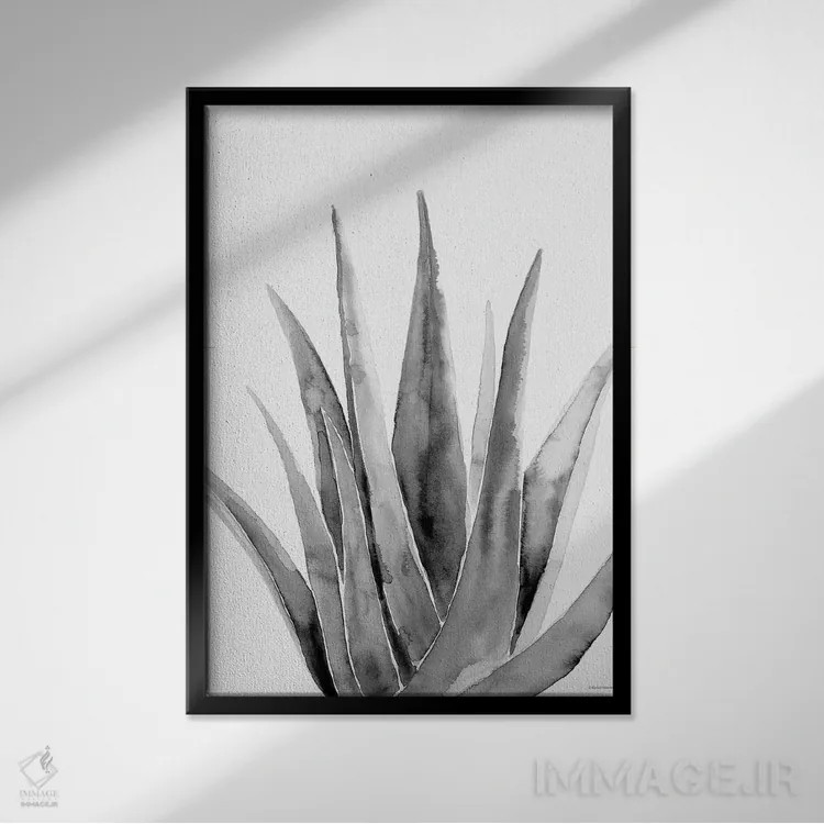 تابلو مینیمال گیاه ارگانیک II اثر ریچل نیمان - نمای قابدار مشکی