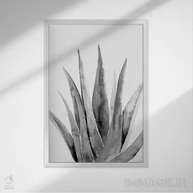 تابلو مینیمال گیاه ارگانیک II اثر ریچل نیمان - نمای قابدار سفید