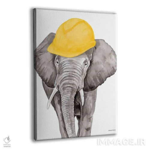 تابلو دکوراتیو فیل معمار اثر ریچل نیمان - نمای پرسپکتیو محصول