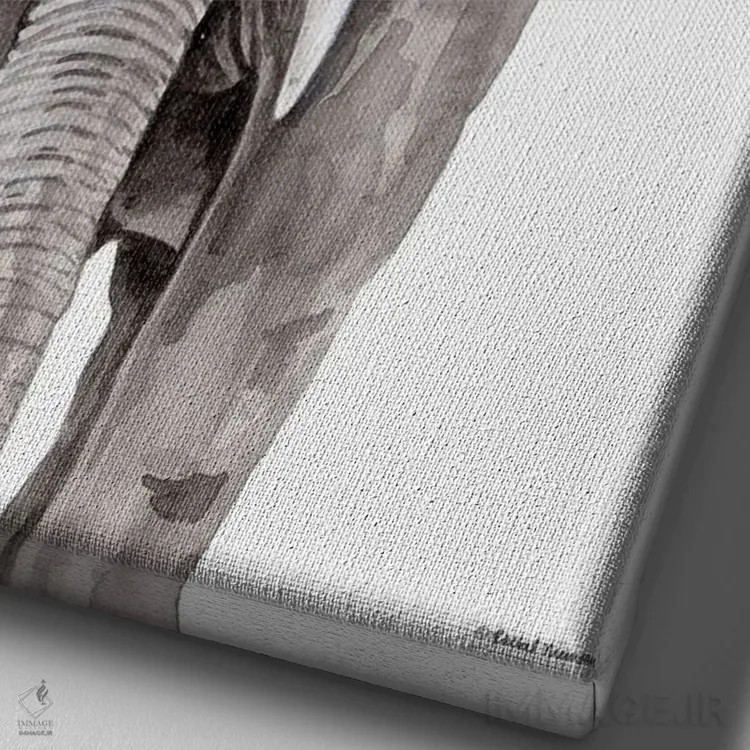 تابلو دکوراتیو فیل معمار اثر ریچل نیمان - نمای نزدیک بافت بوم