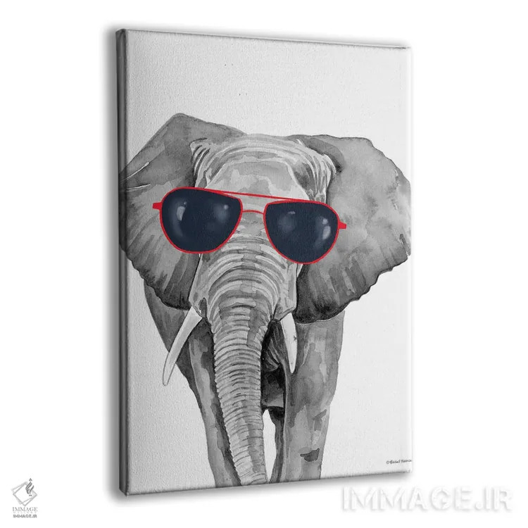 تابلو دکوراتیو فیل خوش تیپ اثر ریچل نیمان - نمای پرسپکتیو محصول