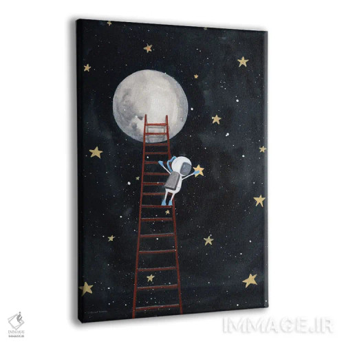 تابلو دکوراتیو ستاره ای را بگیر اثر ریچل نیمان - نمای پرسپکتیو محصول