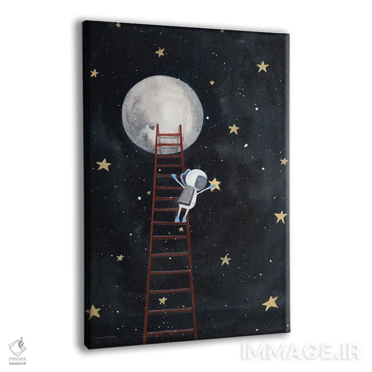 تابلو دکوراتیو ستاره ای را بگیر اثر ریچل نیمان - نمای پرسپکتیو محصول