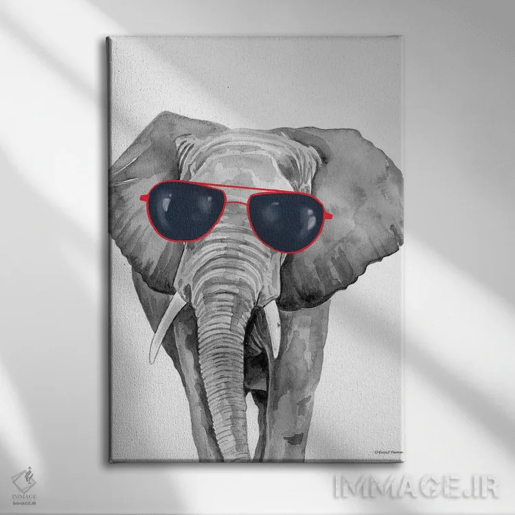 تابلو دکوراتیو فیل خوش تیپ اثر ریچل نیمان - نمای روبهرو روی دیوار