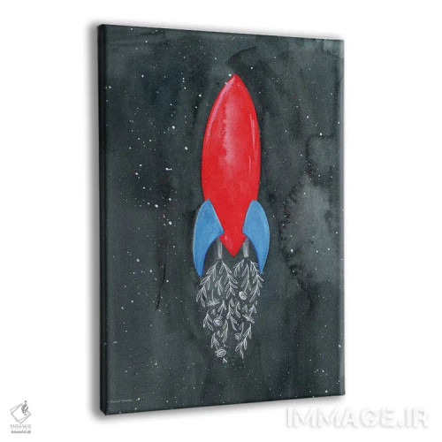 تابلو دکوراتیو موشک گلی اثر ریچل نیمان - نمای پرسپکتیو محصول