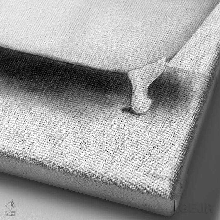 تابلو دکوراتیو زرافه در وان حمام اثر ریچل نیمان - نمای نزدیک بافت بوم