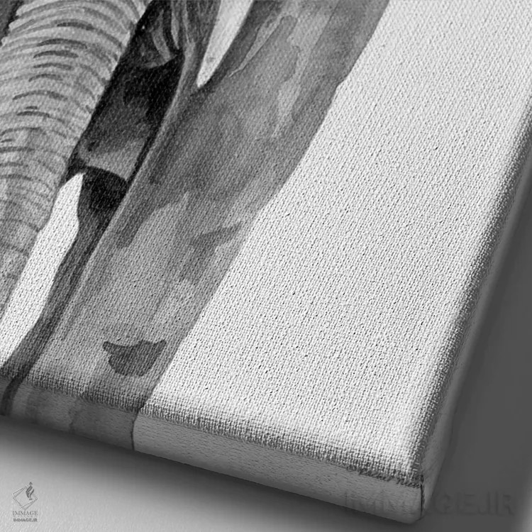 تابلو دکوراتیو فیل خوش تیپ اثر ریچل نیمان - نمای نزدیک بافت بوم