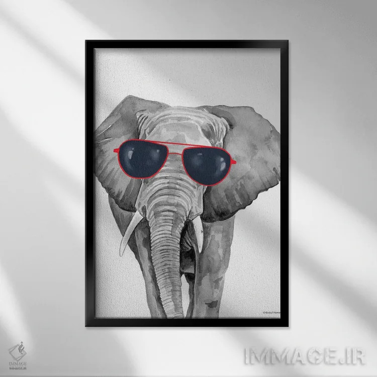 تابلو دکوراتیو فیل خوش تیپ اثر ریچل نیمان - نمای قابدار مشکی