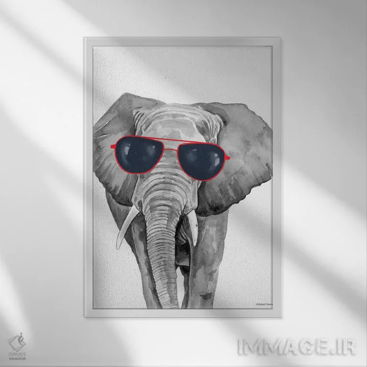 تابلو دکوراتیو فیل خوش تیپ اثر ریچل نیمان - نمای قابدار سفید