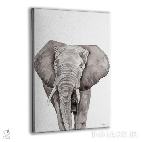 تابلو دکوراتیو فیل سافاری در حال قایم باشک اثر ریچل نیمان - نمای پرسپکتیو محصول