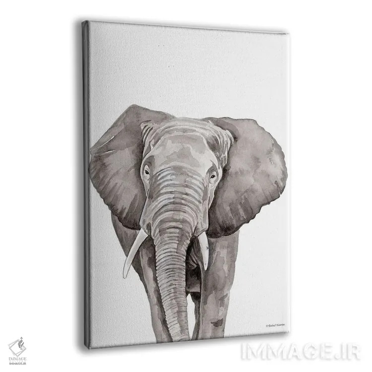 تابلو دکوراتیو فیل سافاری در حال قایم باشک اثر ریچل نیمان - نمای پرسپکتیو محصول