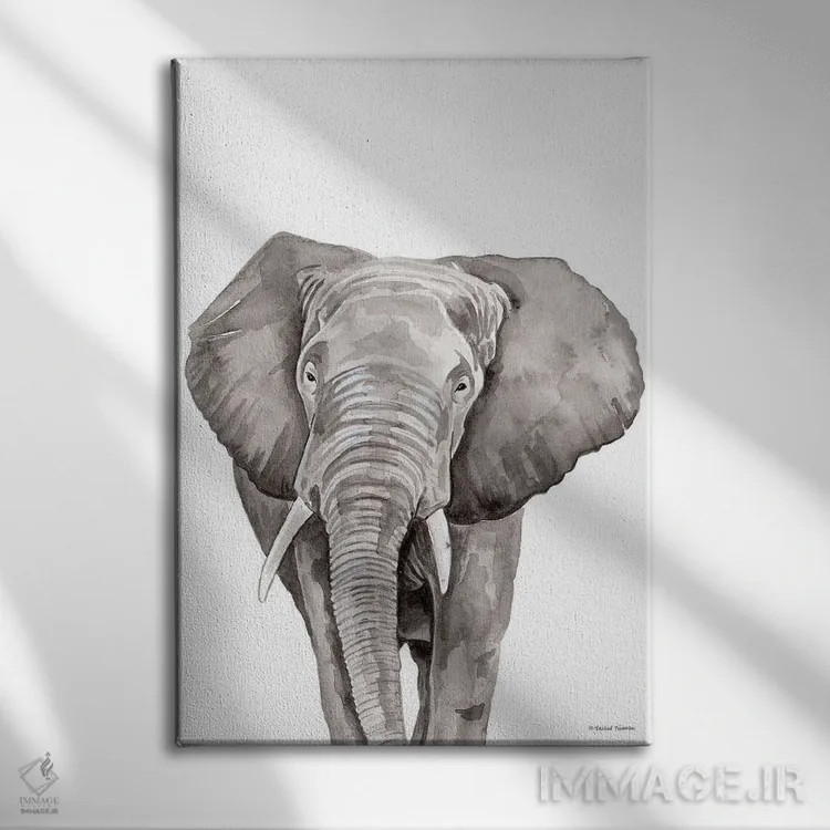 تابلو دکوراتیو فیل سافاری در حال قایم باشک اثر ریچل نیمان - نمای روبهرو روی دیوار